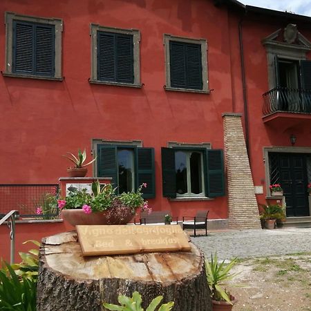 Vigna Dell'Agrifoglio - Bed And Breakfast Velletri Buitenkant foto