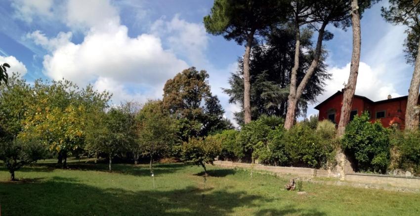 Vigna Dell'Agrifoglio - Bed And Breakfast Velletri Buitenkant foto