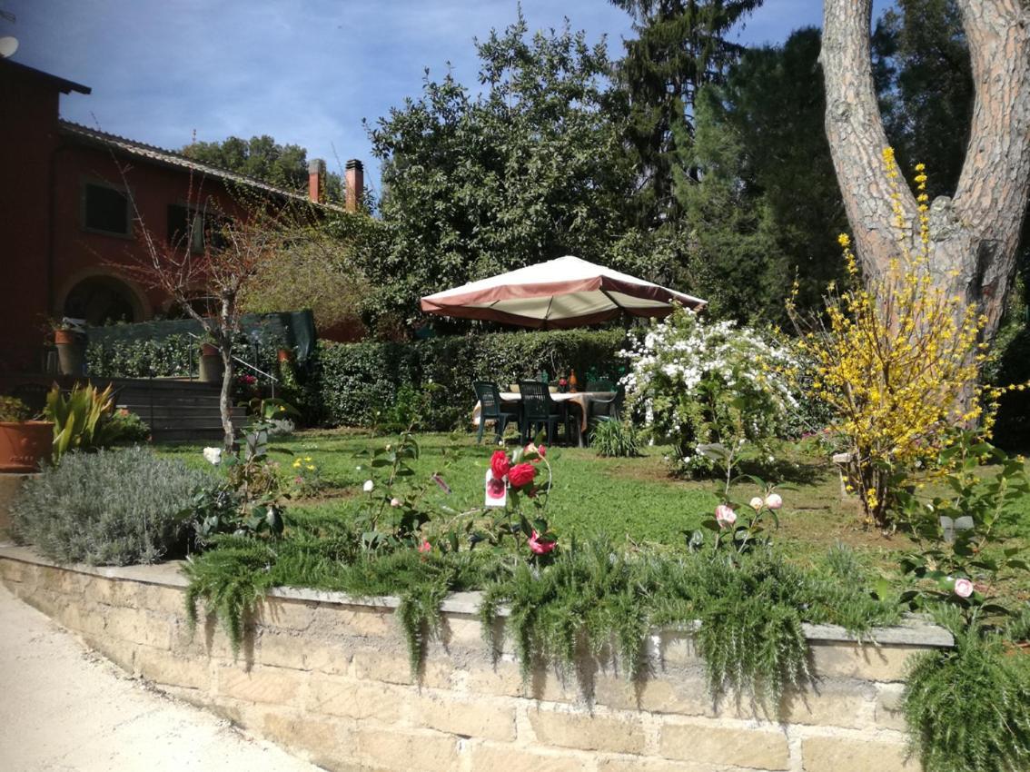 Vigna Dell'Agrifoglio - Bed And Breakfast Velletri Buitenkant foto