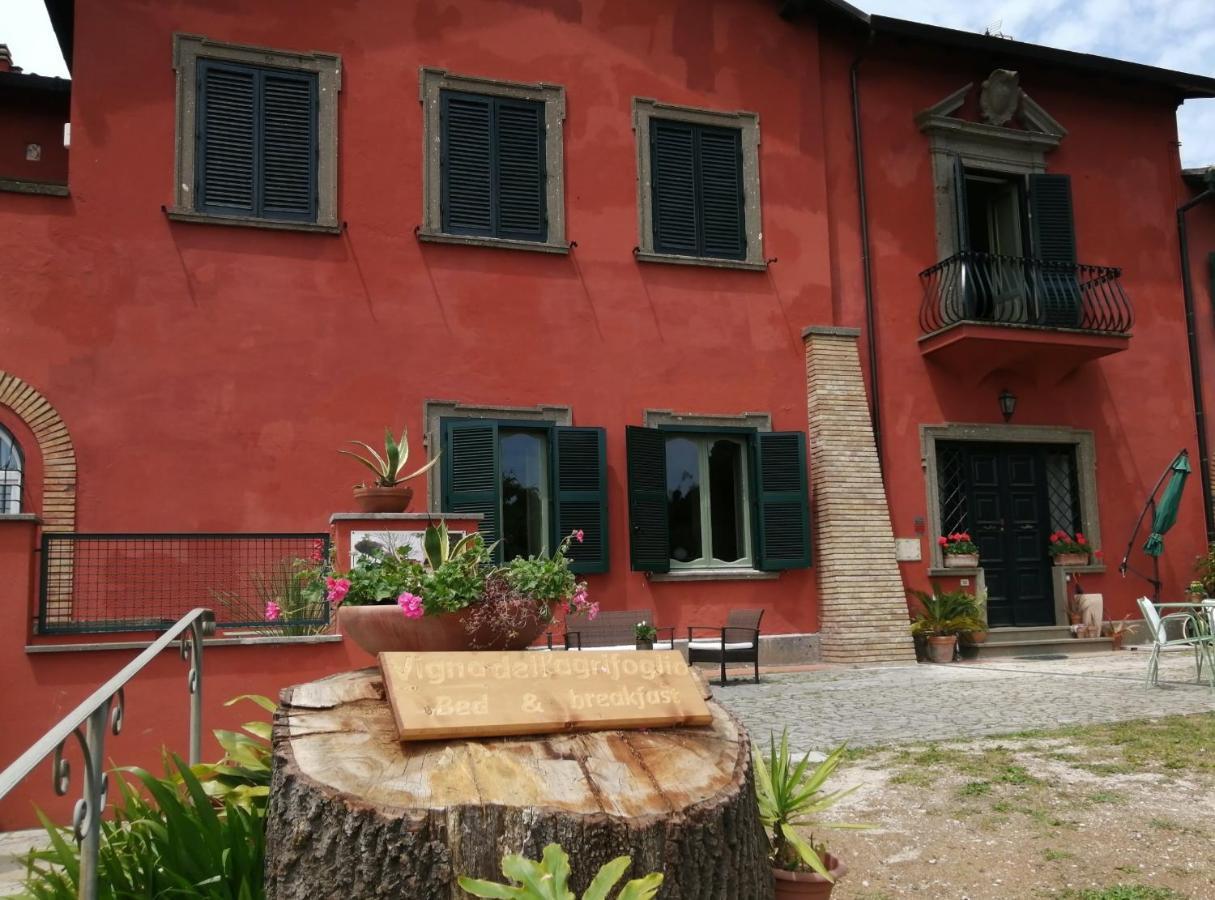 Vigna Dell'Agrifoglio - Bed And Breakfast Velletri Buitenkant foto