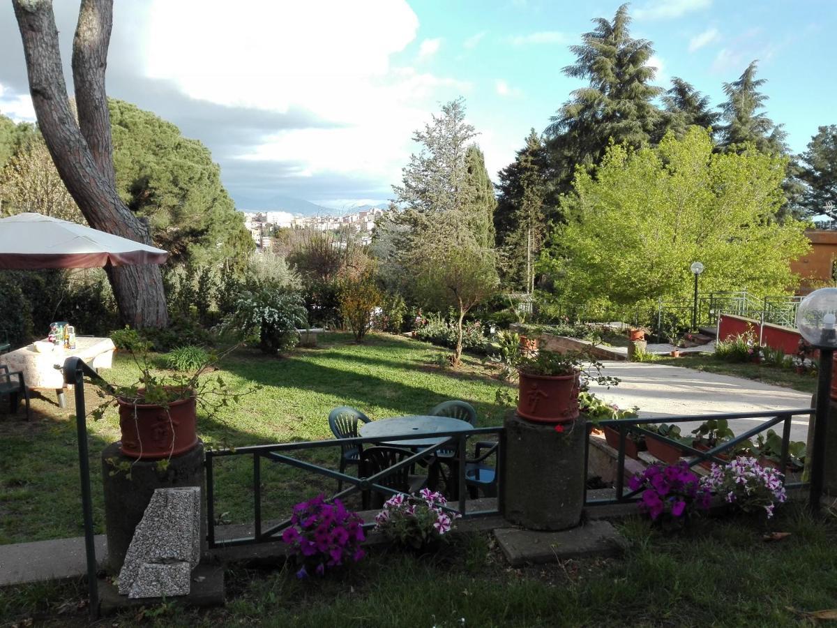 Vigna Dell'Agrifoglio - Bed And Breakfast Velletri Buitenkant foto