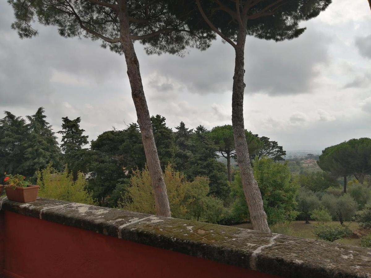 Vigna Dell'Agrifoglio - Bed And Breakfast Velletri Buitenkant foto
